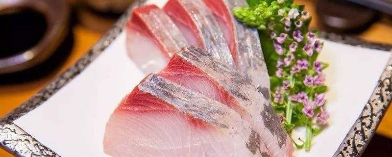 hamachi是什么鱼（日本hamachi是什么鱼）