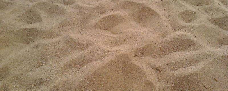 干燥的细沙的密度（干燥的细沙的密度约为多少）