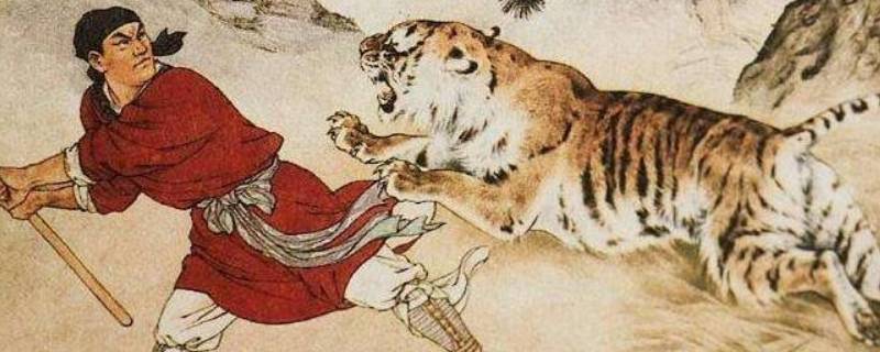 武松打的老虎是什么品种 武松打的是哪种老虎
