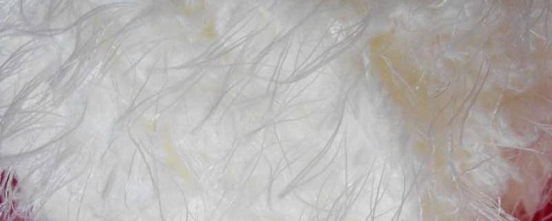 绒丝和羽丝是什么材料 羽绒毛丝是什么材料