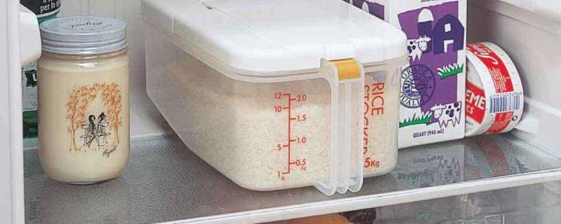 米可以放冰箱里保鲜吗（米能不能放冰箱冷藏）