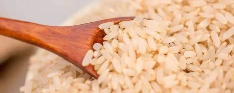 留胚米和大米的区别 留胚米是什么米