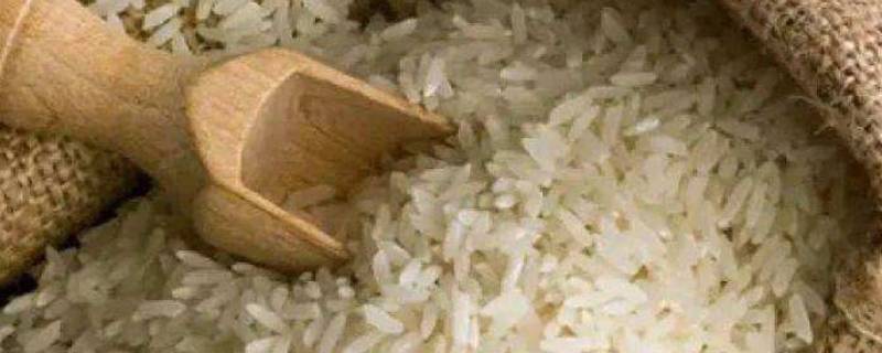 大米怎样挑选质量好的米 怎么挑选好的大米