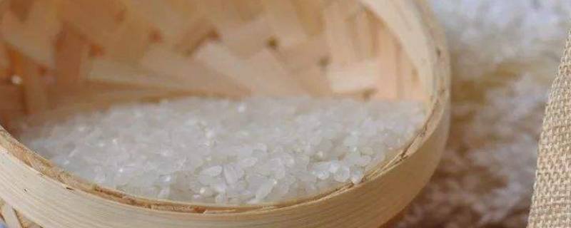 硒米跟大米有什么区别 硒米跟大米有什么区别图片