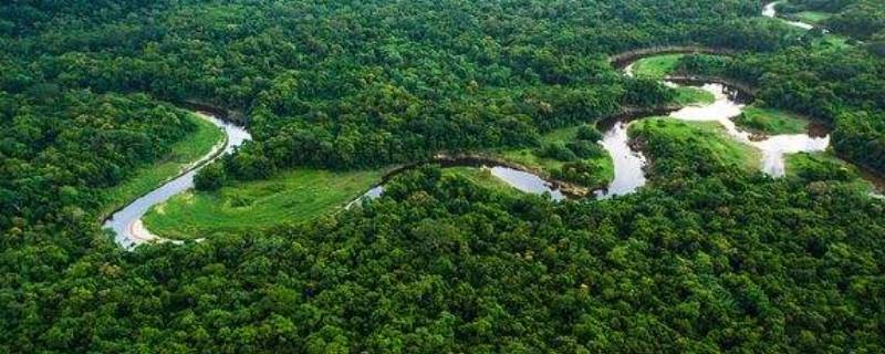 亚马逊雨林被誉为什么（亚马逊雨林被称为什么）