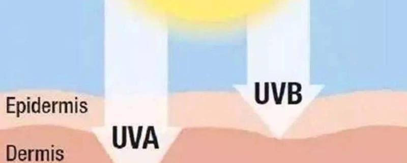 uvb是啥意思（UVB是啥）