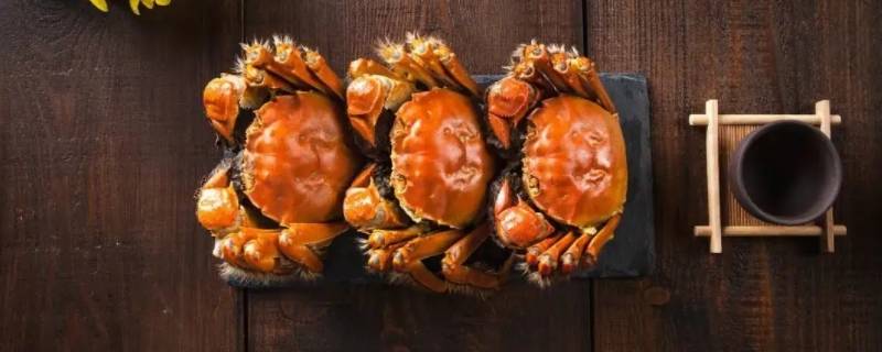 螃蟹吃啥 河里的螃蟹吃啥