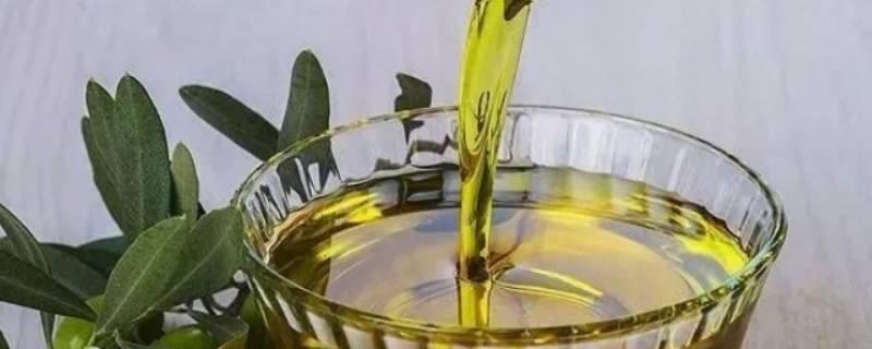 橄榄油的保质期一般是几年（橄榄油的保质期一般是几年进口）