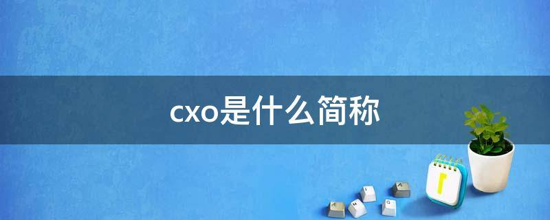cxo是什么简称（cxo的英文全称）