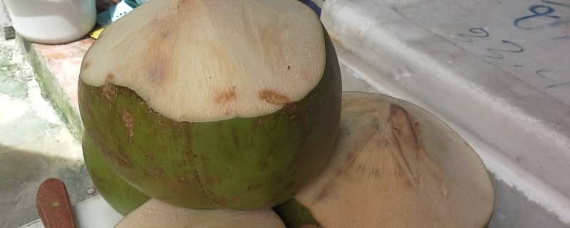 椰子怎么切 椰子怎么切开来