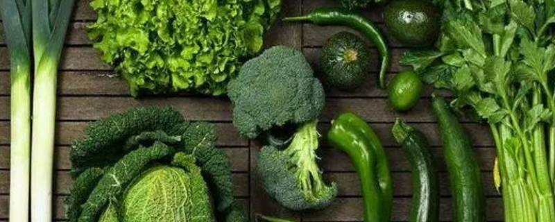 深绿色蔬菜都有哪些 浅绿色蔬菜有哪些