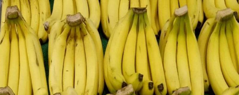香蕉是什么形状（香蕉是什么形状的是什么颜色的）