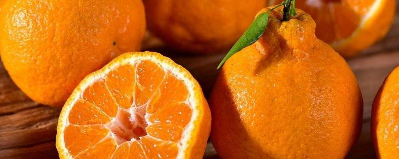 丑桔和耙耙柑外型上怎样区分 耙耙柑跟丑橘是一个品种吗