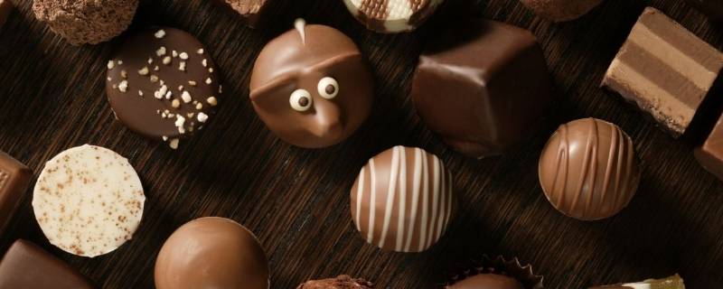 巧克力和可可的区别 巧克力和可可有什么区别