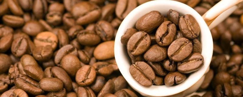 咖啡豆品种（咖啡豆品种名字大全）