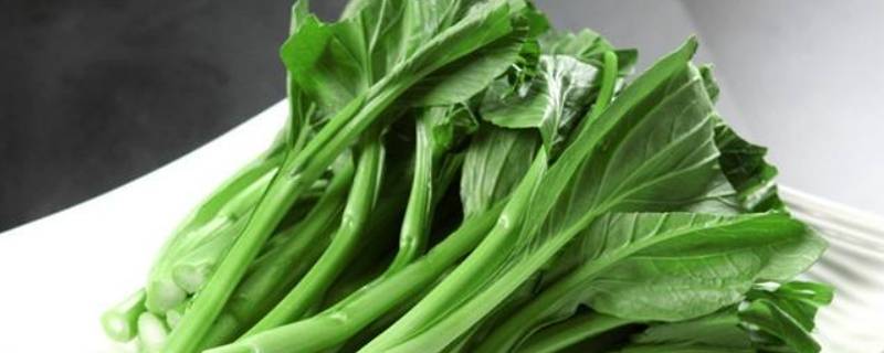 新鲜绿叶菜可以在冰箱里保存多久（绿叶菜可以在冰箱保鲜几天）
