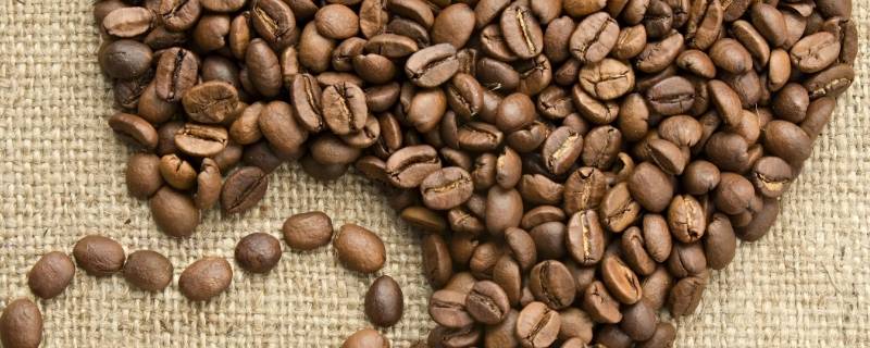 咖啡豆怎么来的 咖啡豆怎么来的是什么动物拉出来的