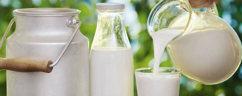 纯牛奶的产品标准代号是什么 纯牛奶标准编号