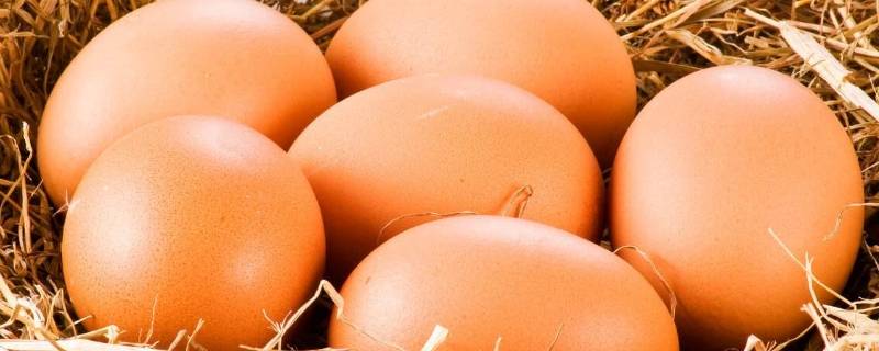 鸡蛋能不能放冰箱 鸡蛋可不可以放冰箱里保存