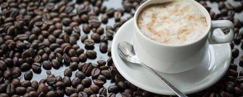 麦咖啡的咖啡豆是什么品种 麦咖啡的咖啡豆是什么品种?