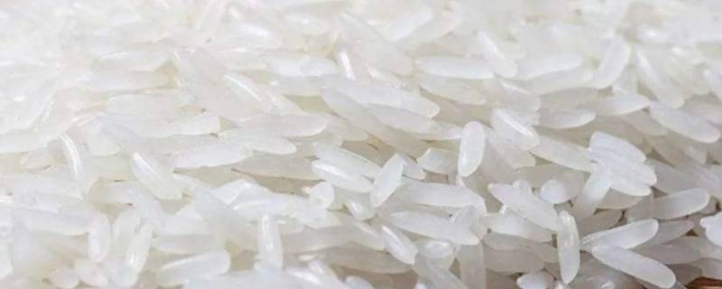 干拌饭的米是什么米 干拌饭的米是什么米为什么那么细