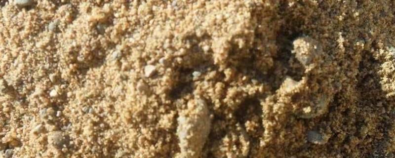 砂的表观密度（砂的表观密度计算公式）