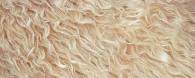 火烧羊毛和人造毛的区别 羊毛和人造毛烧有什么区别