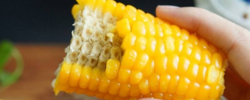 玉米是优质碳水吗（玉米是优质碳水化合物吗）