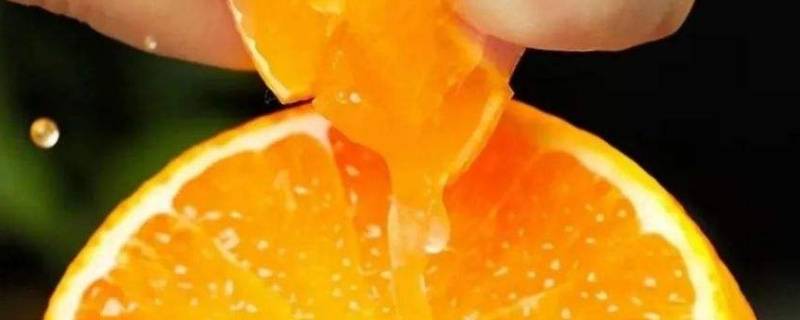 果冻橙是软的吗（果冻橙是什么样的）