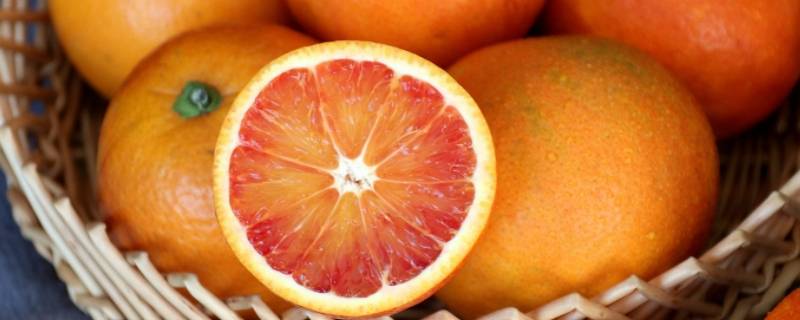 雪橙和血橙的区别 血橙和红橙的区别