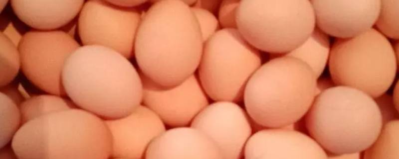鸡蛋放冰箱能放多久（煮熟的鸡蛋放冰箱能放多久）