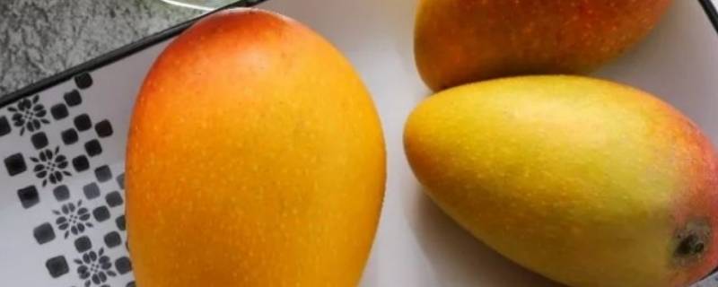 芒果是什么形状的 芒果是什么形状的它和哪个水果是一样大小的