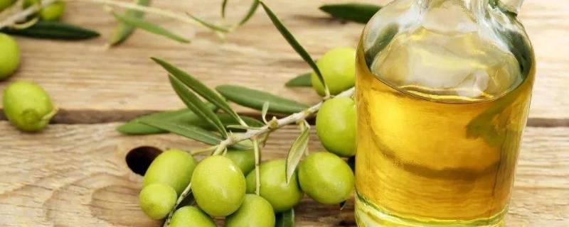 精炼橄榄油与初榨橄榄油的区别 精炼橄榄油与初榨橄榄油的区别在哪