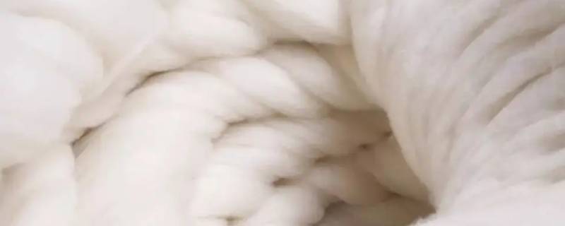 羊绒和山羊绒有什么区别啊（山羊绒和绵羊绒、羊绒的区别）