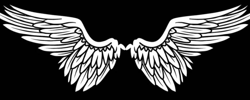 翅膀的寓意和象征（飞翔翅膀的寓意和象征）