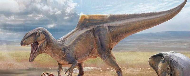 杂食性恐龙有哪些 杂食性恐龙有哪些外貌特征