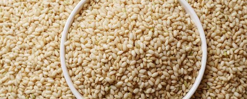 什么是糙米 什么是糙米饭怎么做