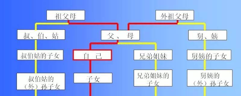 兄妹是直系亲属吗（兄妹是直系亲属吗亲哥哥老是和妹妹算小时候账怎么办）