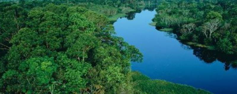 亚马逊雨林有人居住吗（亚马逊雨林有原始部落吗）