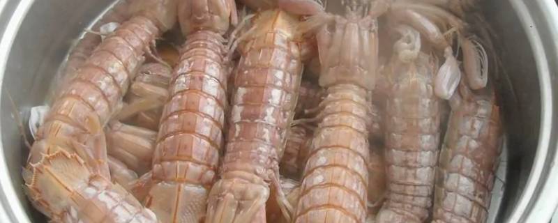 濑尿虾白灼煮多少分钟 白灼濑尿虾的做法
