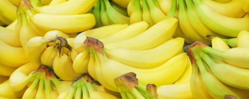 香蕉能放冰箱保鲜吗 熟透的香蕉能放冰箱保鲜吗