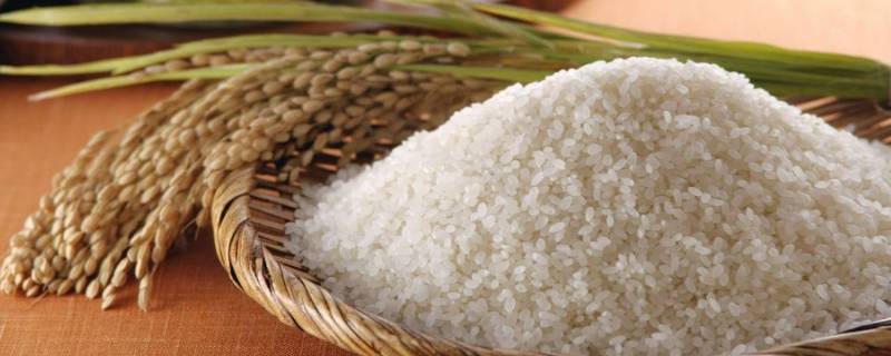 大米属于什么类 大米属于什么类别商品