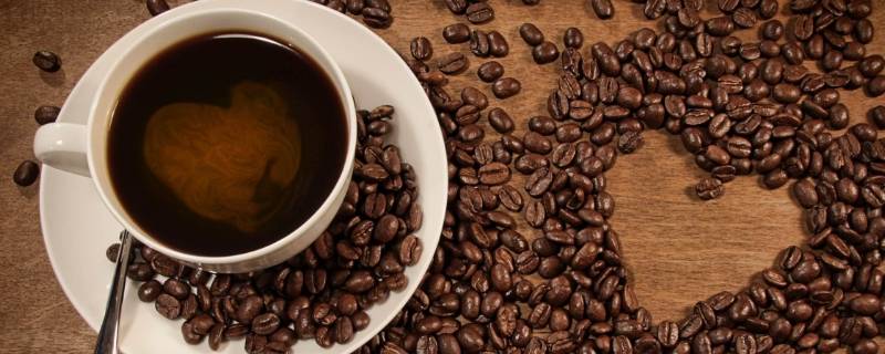 咖啡常见的有哪些种类 咖啡主要种类