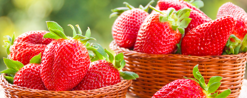 草莓的特点怎么描述 草莓的特征怎么描述