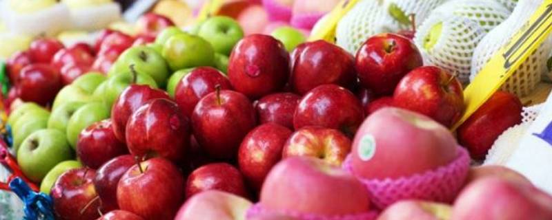 9月份应季水果有哪些 九月底什么水果应季