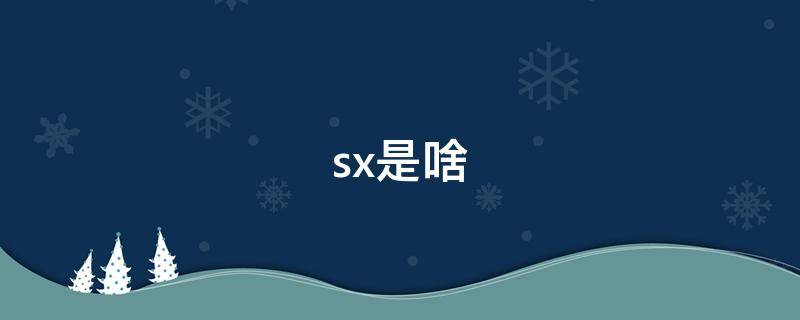 sx是啥（sx是啥车牌）