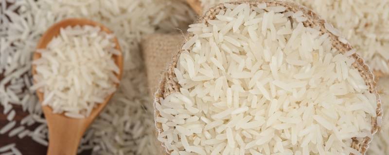 为什么米里面会长虫 为什么米里面会长虫 木马计划