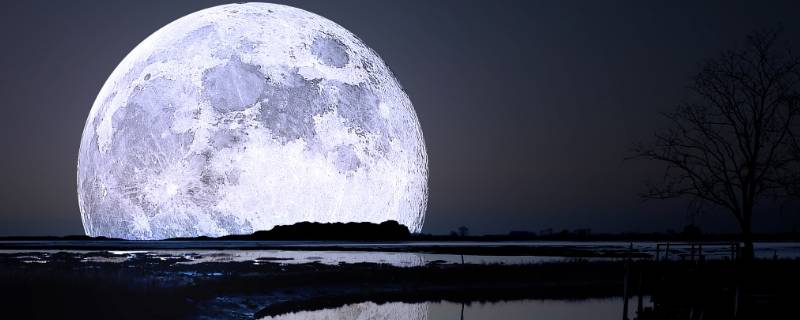 月亮是什么（月亮是什么星球）