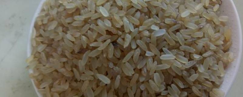 菩米是怎么做的 菩米是什么米