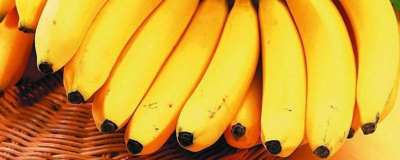 香蕉是高糖水果吗（香蕉的果糖高吗）
